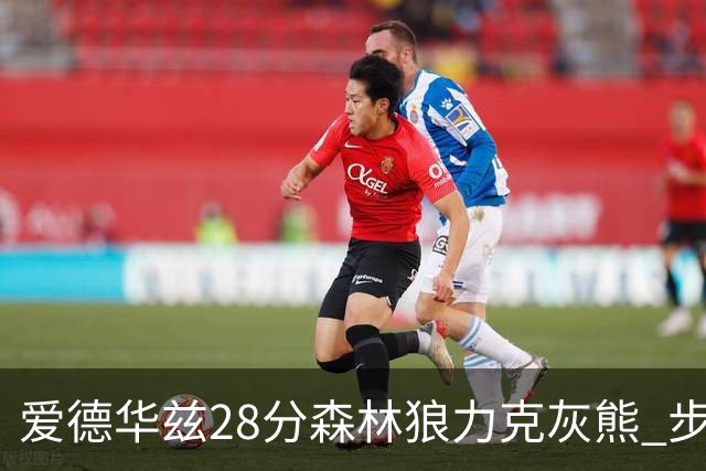 爱德华兹28分森林狼力克灰熊 步行者险胜国王